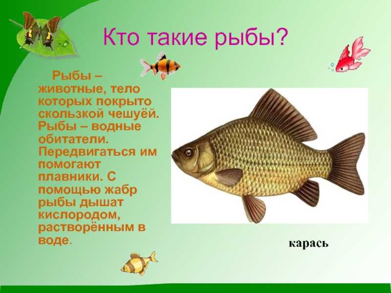 Гдз окружающий мир 1 класс  плешаков - учебник