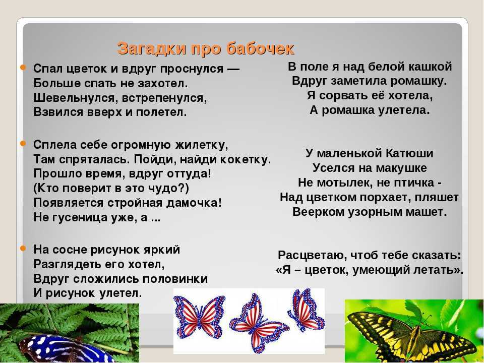 Яркие как лампочки порхают в небе бабочки. загадки про бабочку для детей
