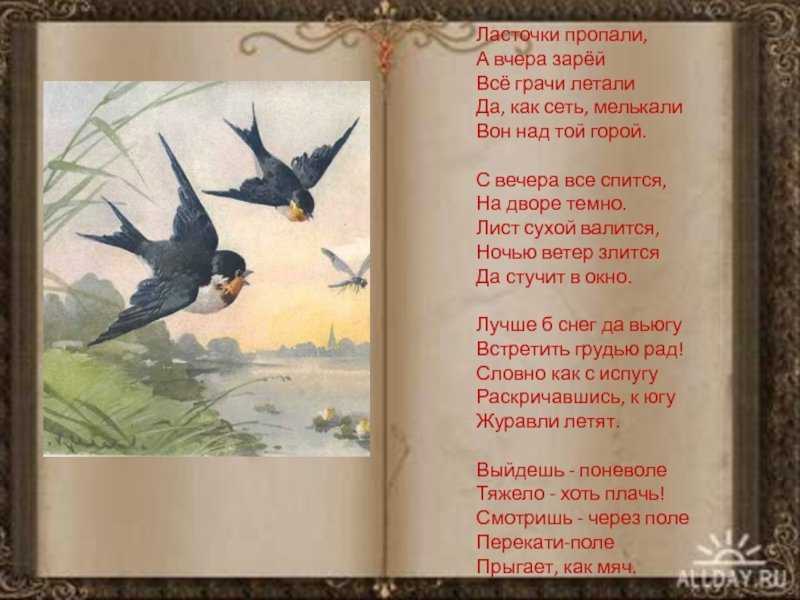 Понемногу: ответы на вопросы учебника к стихотворению а. введенского "учёный петя" для 2 класса