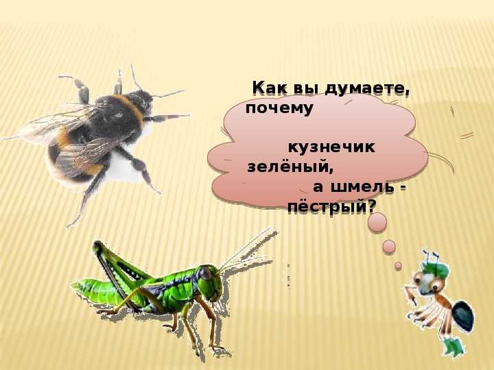 Гдз рф - готовые ответы по окружающему миру для 1 класса  плешаков а.а. школа россии  просвещение