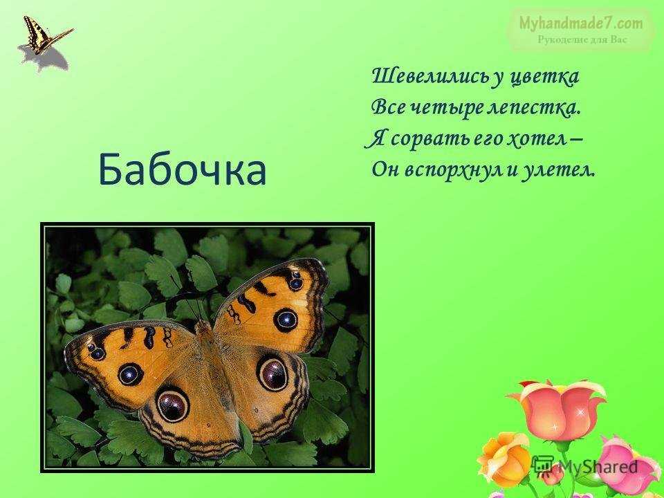 Яркие как лампочки порхают в небе бабочки. загадки про бабочку для детей