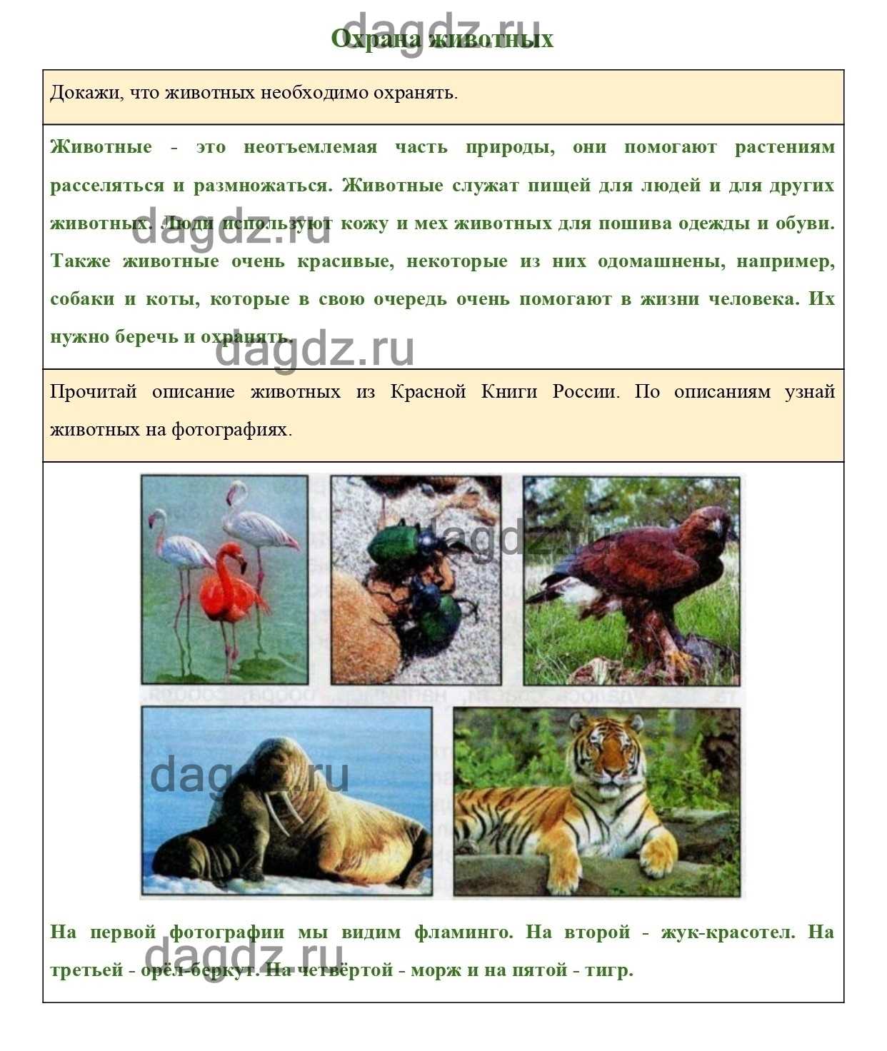 Гдз по окружающему миру 1 класс плешаков, учебник 1, 2 часть просвещение 2023