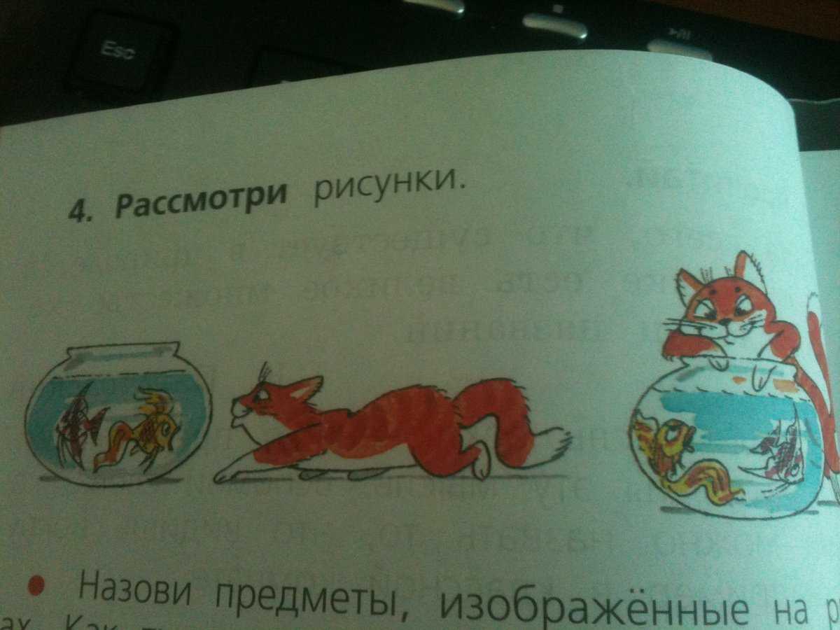 Гдз по русскому языку. 4 класс. учебник. часть 1. канакина в. п., горецкий в. г. |  развивайка