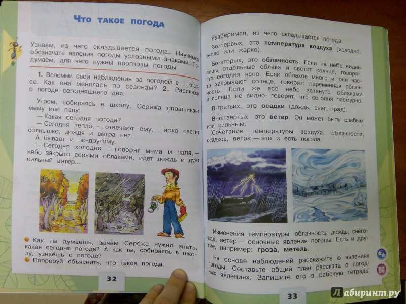 Кто такие птицы? стр. 36 - 37. окружающий мир 1 класс 1 часть