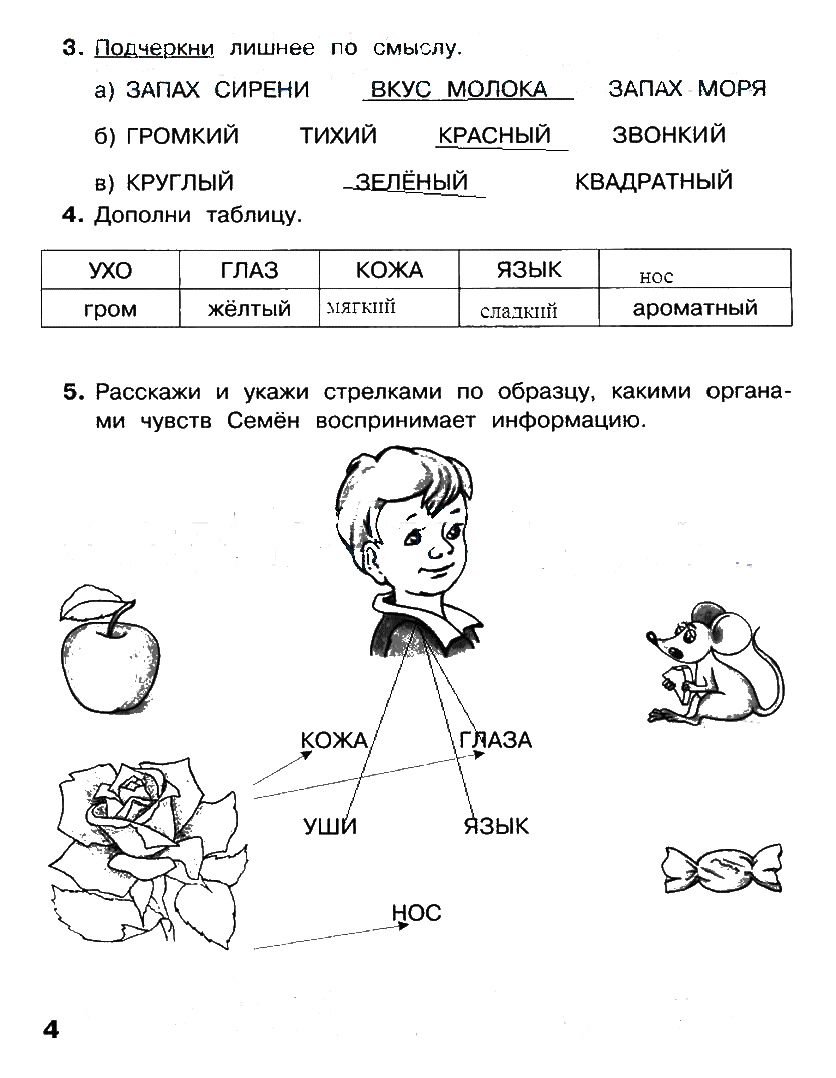 Конспект урока по информатике "компьютер и его части" 2 класс | doc4web.ru