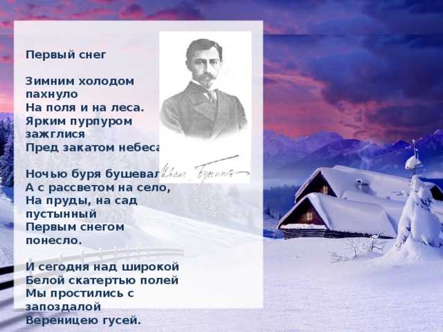 Что означает снегом понесло вереницею гусей