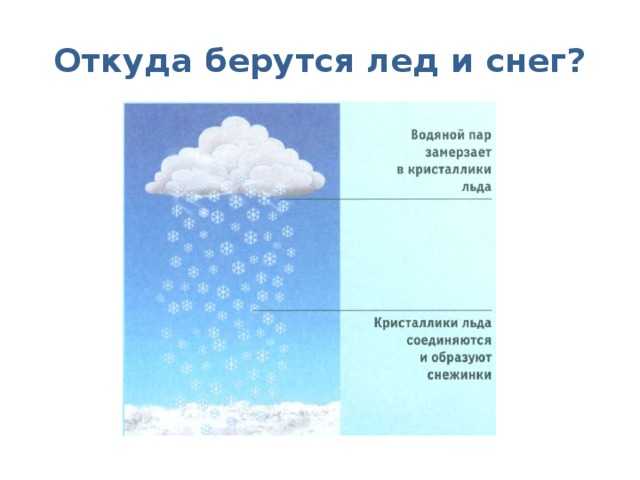 Гдз по окружающему миру, 1 часть, 1 класс, тетрадь, плешаков гдз по окружающему миру, 1 часть, 1 класс, тетрадь, плешаков