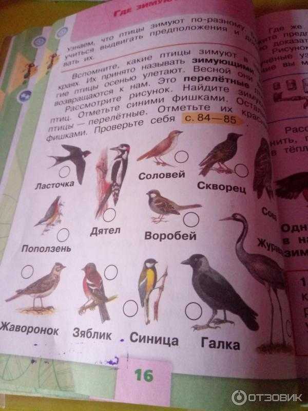 ГДЗ учебник по окружающему миру 1 класс часть 1 Плешаков 1 Проверим себя Номер 10 Ребята получили задание изготовить модель ковша Большой Медведицы Вот что получилось У Даши У Пети У Дениса Кто изготовил модель верно