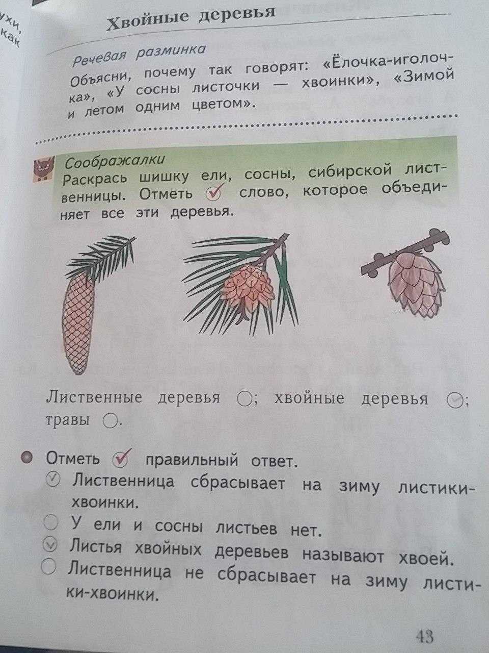 Гдз окружающий мир 1 класс  плешаков - учебник