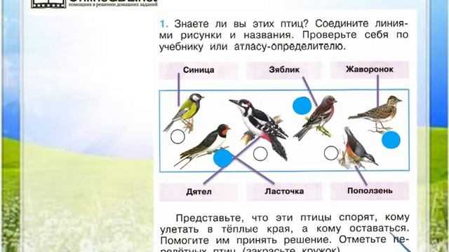 Решения по окружающий мире 1 класс плешаков - рабочая тетрадь часть 2. страница 14. где зимуют птицы?: