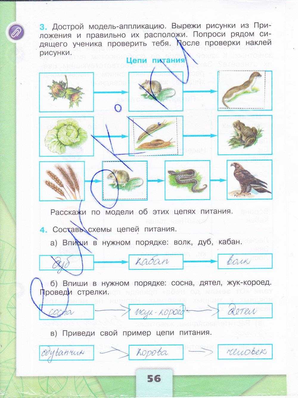 Гдз решебник по окружающему миру 1 класс плешаков рабочая тетрадь просвещение