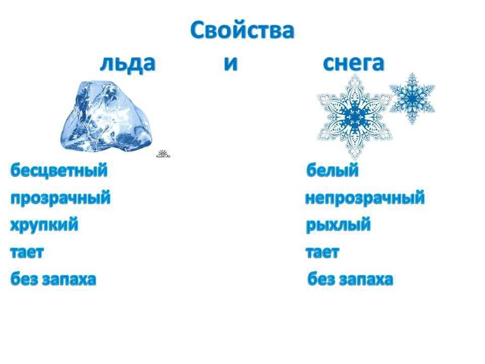 1 класс. окружающий мир. плешаков. рабочая тетрадь. часть 1. страницы 43, 44, 45