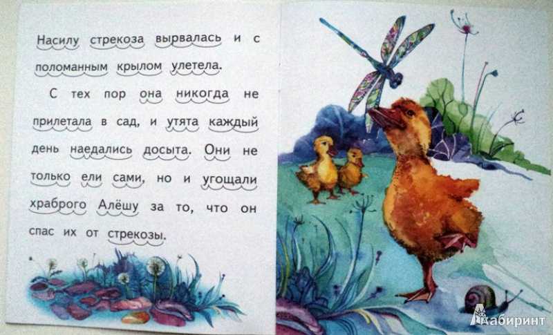 Тестовая работа по произведению б. житкова "храбрый утёнок" 2 класс презентация, доклад