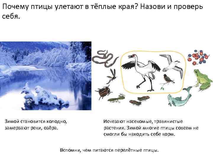Ответы учебник литературное чтение климанова 2 класс часть 1, 2