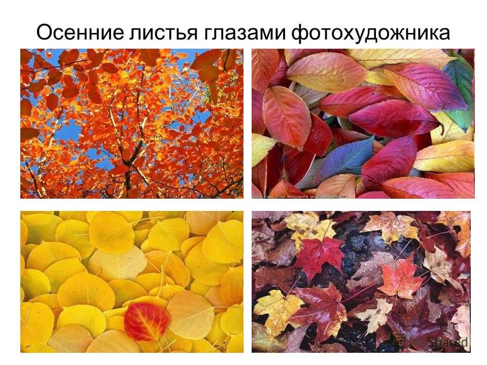 Гдз к литературному чтению 2 класс, учебник, 1 часть, климанова, школа россии люблю природу русскую. осень с.65-82 - страница 4