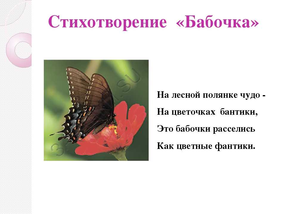 ГДЗ Литературное чтение 1 класс Ефросинина Загадка стр57 Номер 1 Докажи, что это загадка о бабочке Загадка Шевелились у цветка Все четыре лепестка Я сорвать его хотел Он вспорхнул и улетел