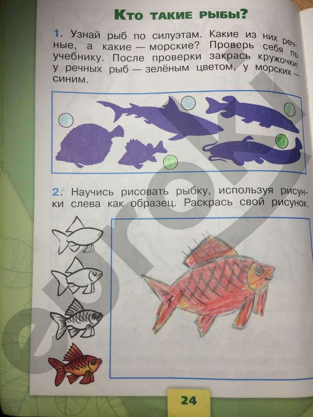 Окружающий мир плешаков — рабочая тетрадь 1 класс страница 24. кто такие рыбы?: - гдз решебники | mygdz.info