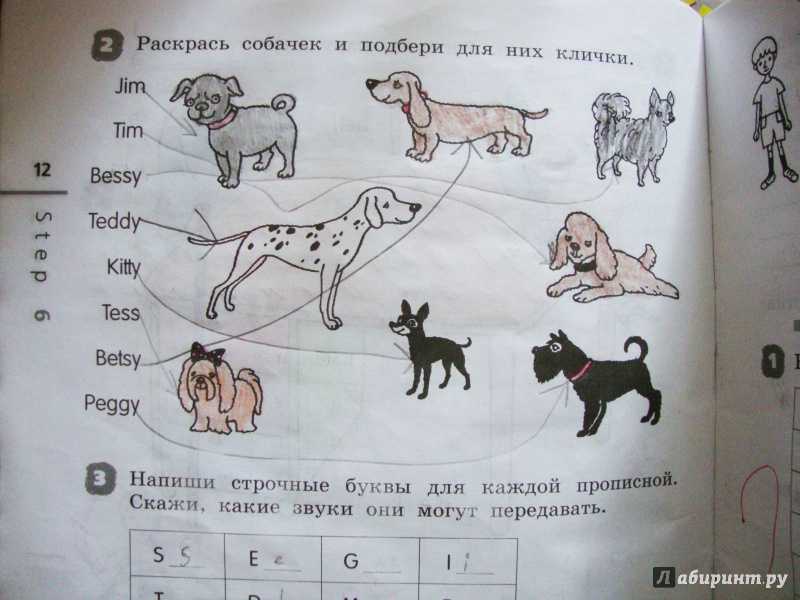 Английский язык 2 класс рабочая тетрадь Афанасьева Step 14 Номер 4 Придумай и напиши имена этих людей и клички их питомцев