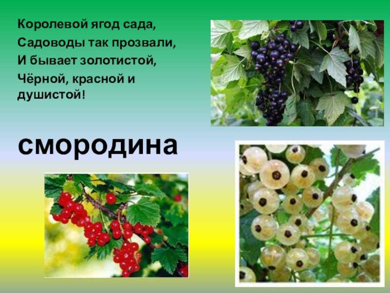 Гдз и решебник английский язык 2 класс быкова - учебник