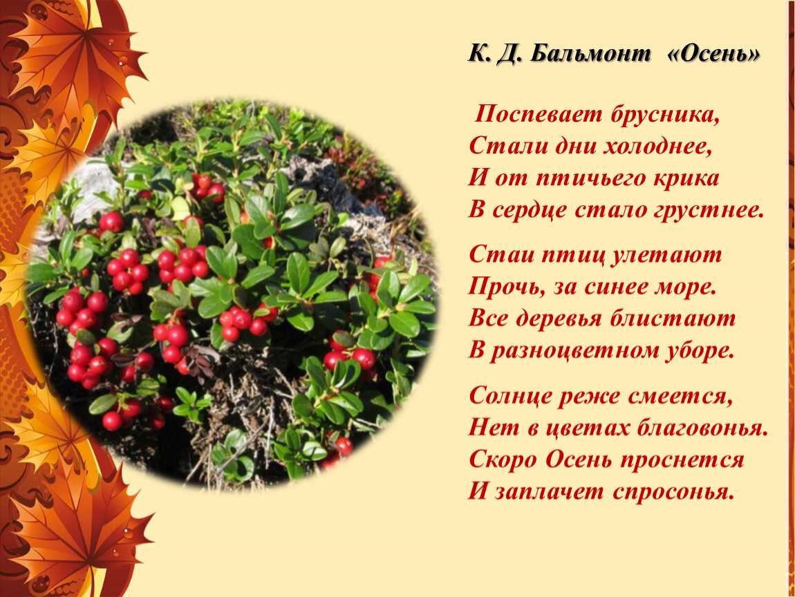 Понемногу: н. носов "живая шляпа", ответы на вопросы учебника, 2 класс