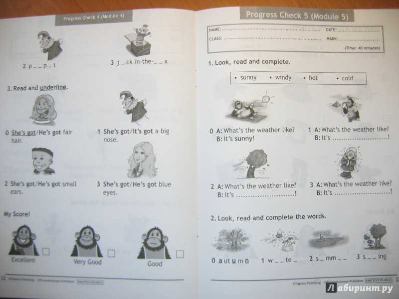 Spotlight 5 test book ответы на контрольные работы. английский язык