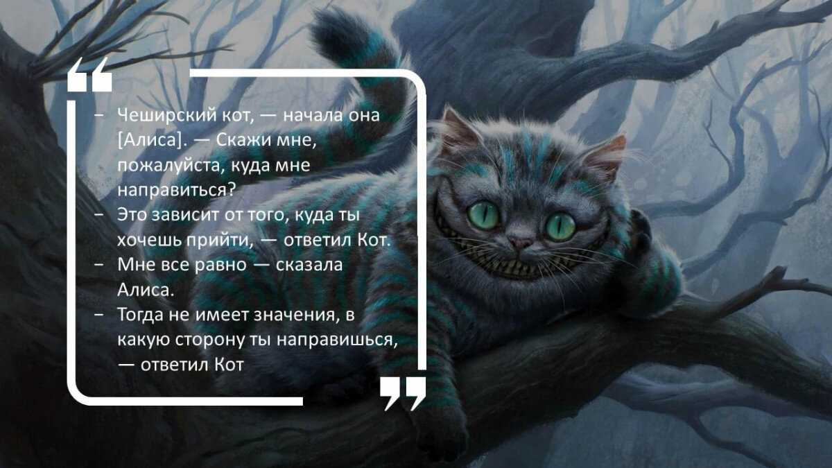 Testsoch.ru