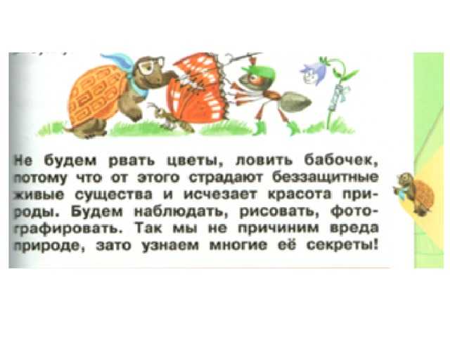 Гдз по окружающему миру — 1 класс -рабочая тетрадь — 2 часть — плешаков — 2020