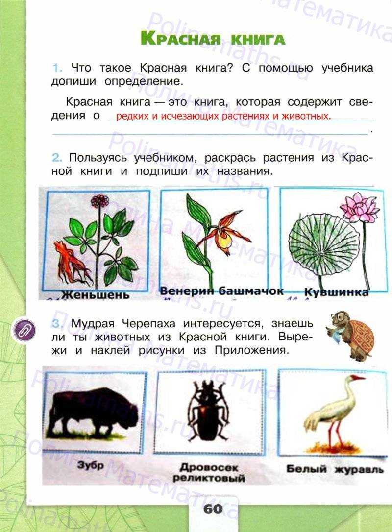 Гдз по окружающему миру — 1 класс -рабочая тетрадь — 2 часть — плешаков — 2020