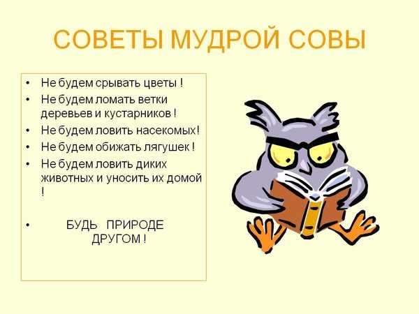 Урок литературного
чтения во 2 классе
«в.в.бианки «сова» | начальная школа  | современный урок