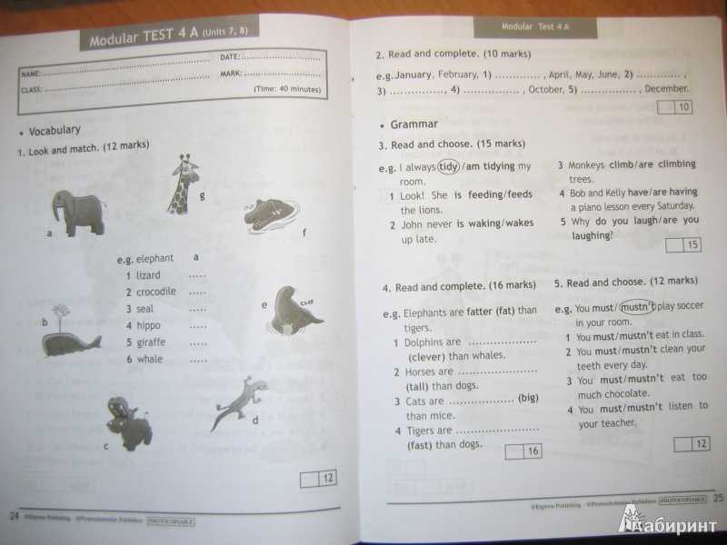 Spotlight 5 test book ответы
