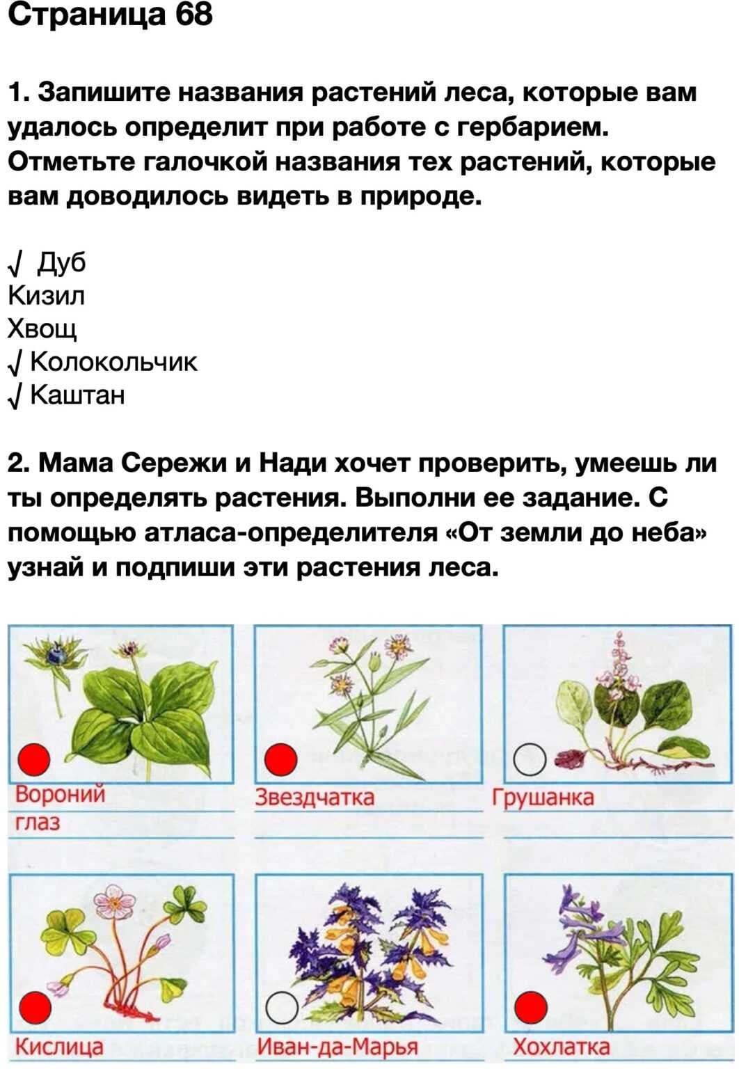 Гдз окружающий мир 1 класс  плешаков - учебник