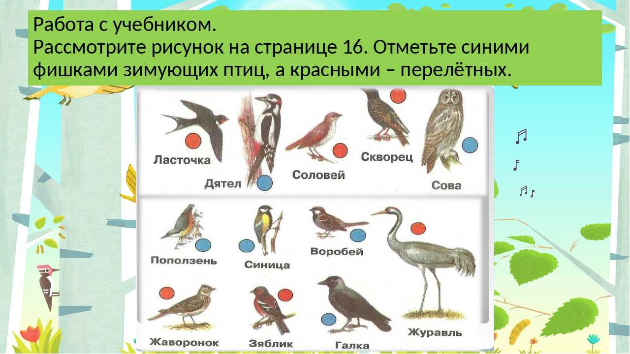Урок окружающего мира, 1 класс. где зимуют птицы? школа россии