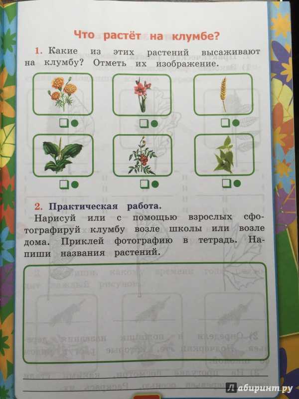 Гдз окружающему миру рабочая тетрадь 1