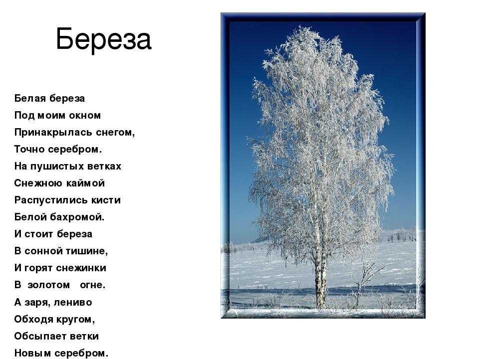 Гдз по литературе 2 класс климанова л.ф. как составить общий план рассказа