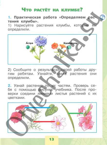 ГДЗ рабочая тетрадь по окружающему миру 1 класс часть 1 Плешаков Что растет на клумбе Номер 4 Определите 12 растения клумбы возле дома Запишите названия