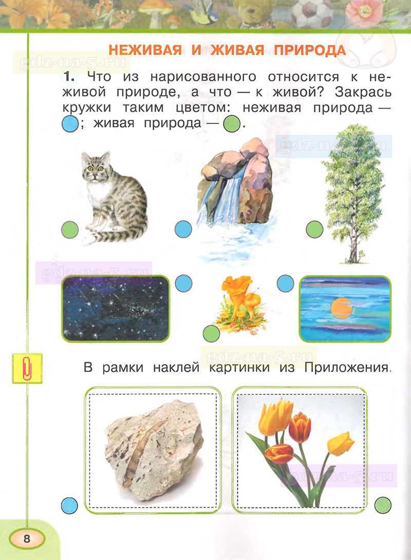 Гдз окружающему миру рабочая тетрадь 1