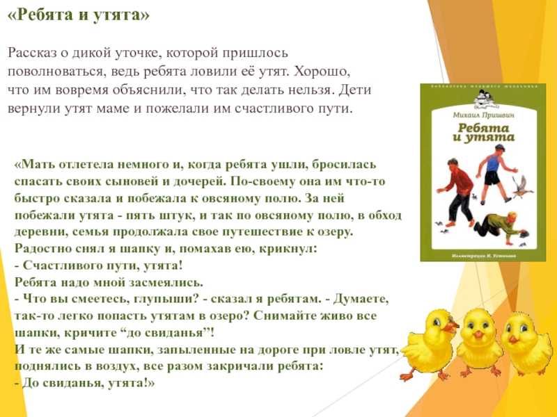 Ребята и утята стр.135. литературное чтение 2 класс
