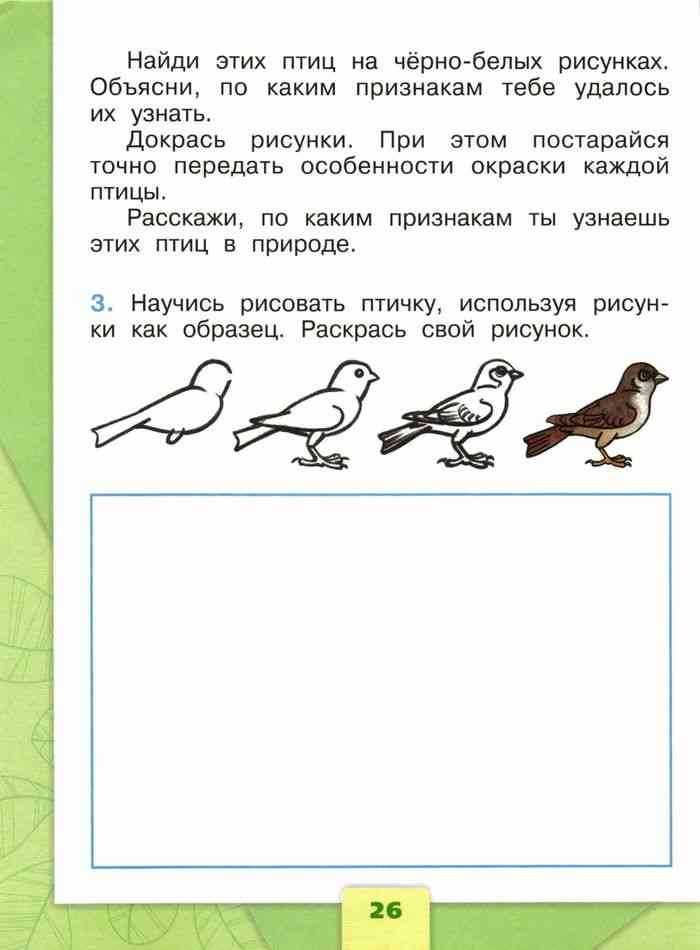 Страница 36-37 гдз по окружающему миру 1 класс плешаков, учебник 1 часть 2023