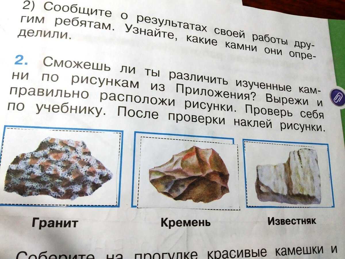 Гдз решебник по окружающему миру 1 класс плешаков рабочая тетрадь просвещение