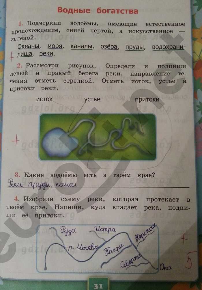 Конспект урока по окружающему миру, 1 класс. что такое хвоинки? школа россии