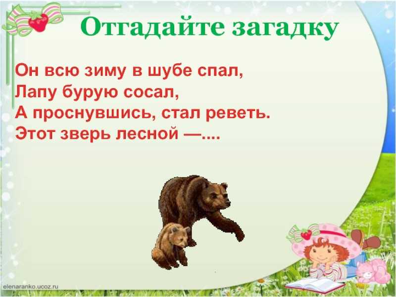 Понемногу: ответы на вопросы учебника к рассказу в. бианки "музыкант" для 2 класса