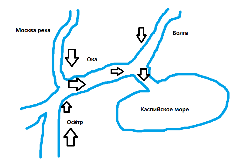 Куда текут реки? окружающий мир, 1 класс — природа мира
