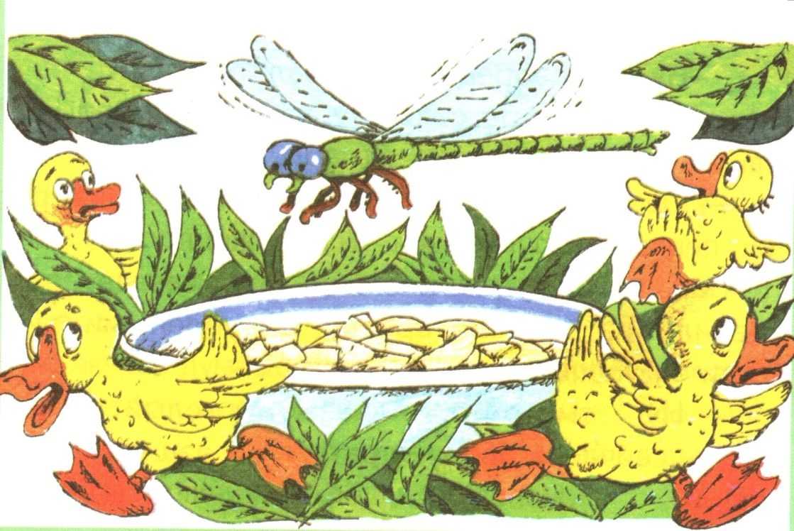План рассказа житкова «храбрый утенок» для 2 класса - tarologiay.ru