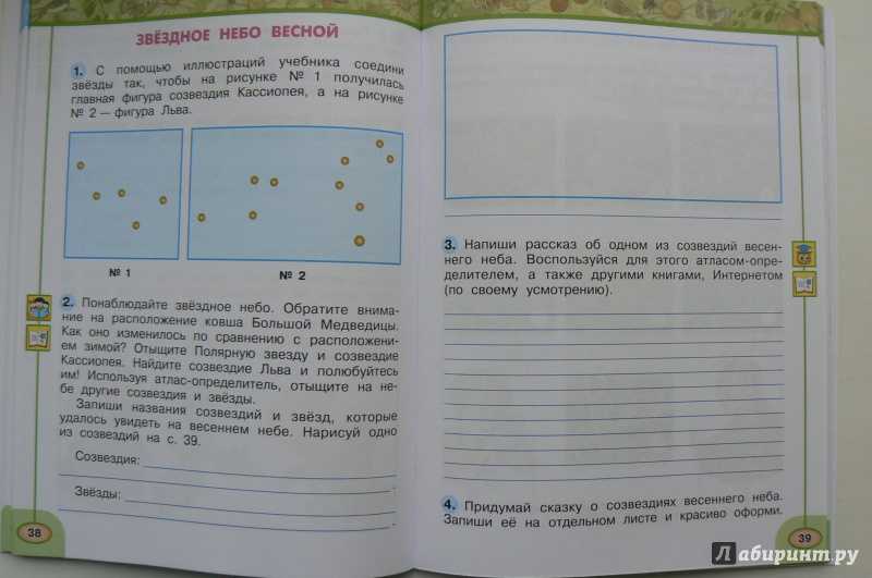 Кто такие звери? стр. 38 - 39. окружающий мир 1 класс 1 часть