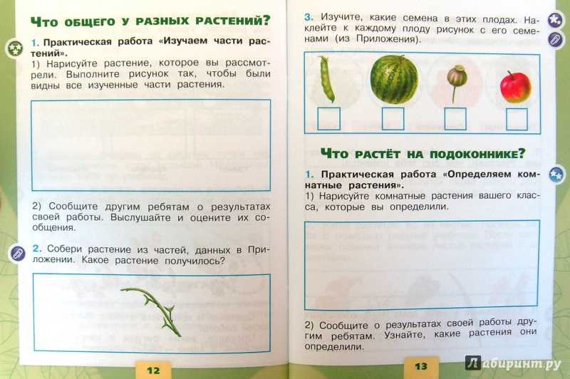 Гдз к учебнику по окружающему миру плешаков 1 класс за 1-2 часть