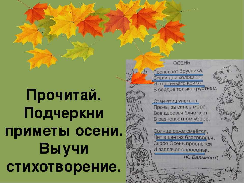«осень (поспевает брусника…)» к. бальмонт