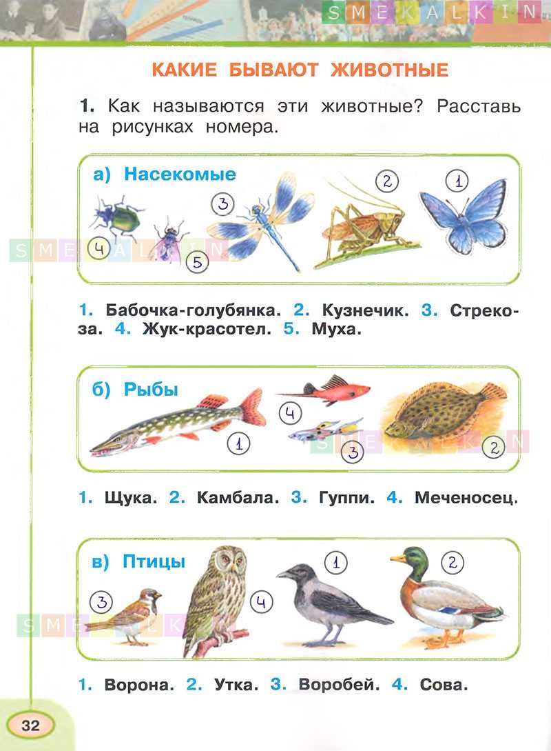 Гдз по окружающему миру — 1 класс -рабочая тетрадь — 2 часть — плешаков — 2020