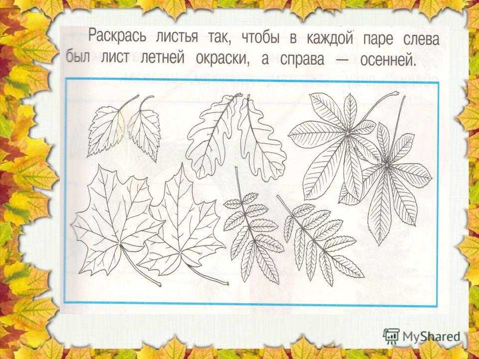 Гдз 3 класс. окружающий мир. плешаков, новицкая. рабочая тетрадь. часть 2. страницы 26, 27, 28, 29