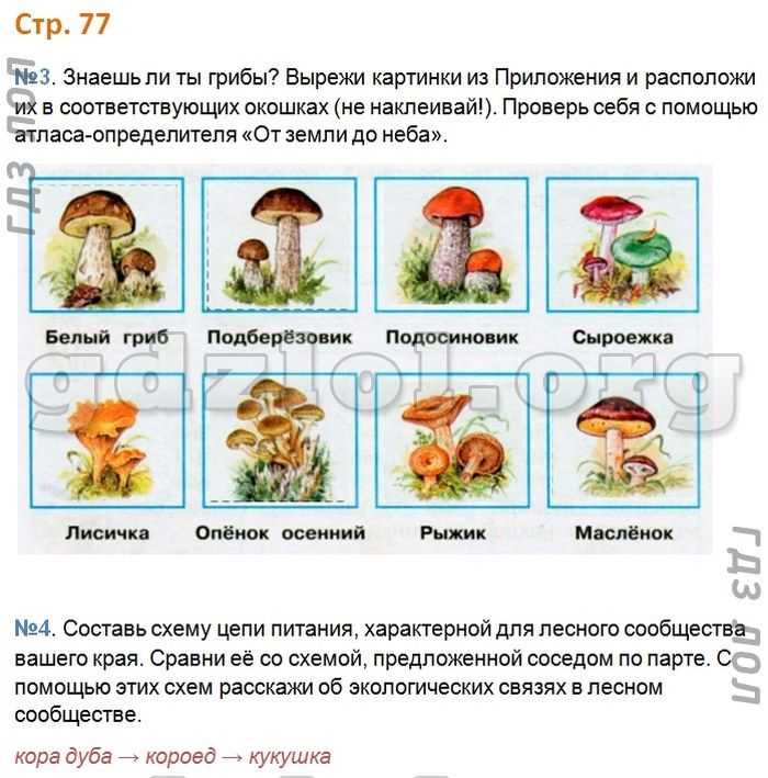 Литературное чтение 2 класс сказка гуси лебеди ответы на вопросы