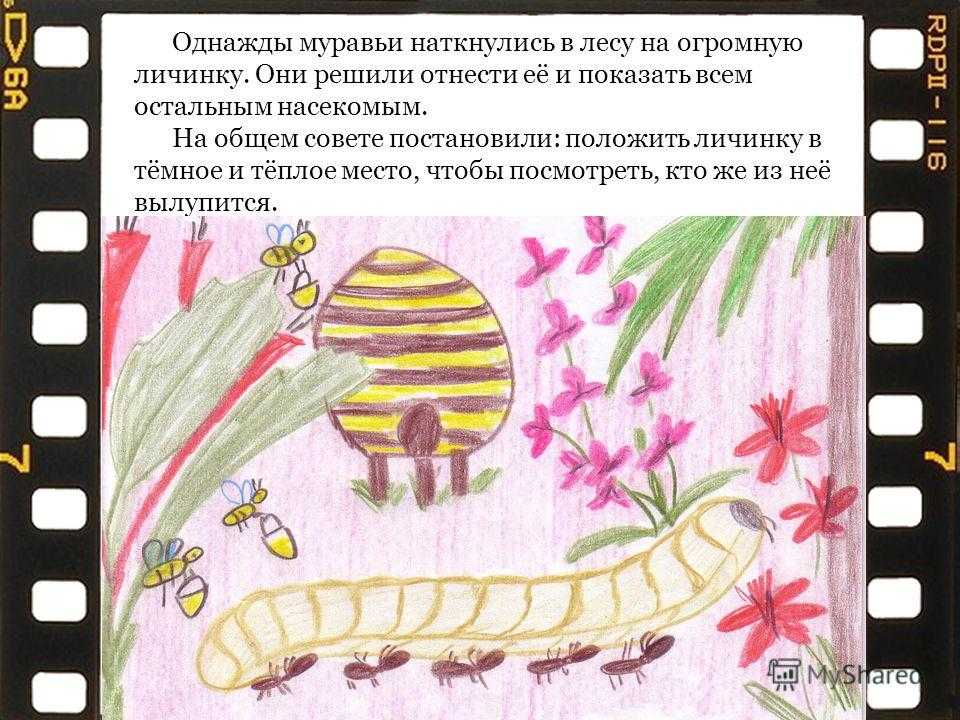 Гдз по окружающему миру 1 класс учебник плешаков 2 часть ответы стр 7 | 1klass.org